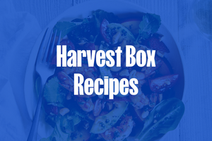 Recipe Round Up - Harvest Box